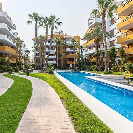 Cc8 V By Zanis * Torrevieja